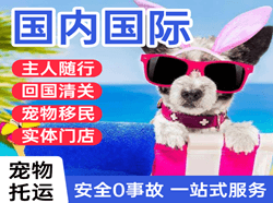 泰州机场快递国际宠物托运 【国